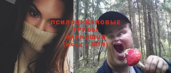 гидропоника Козловка