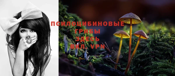 мдпв Киреевск