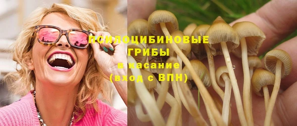 a pvp Козельск